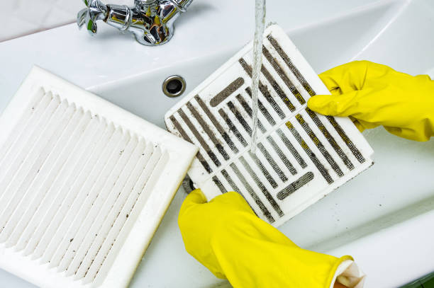 Best Local Air Duct Cleaning Services  in USA